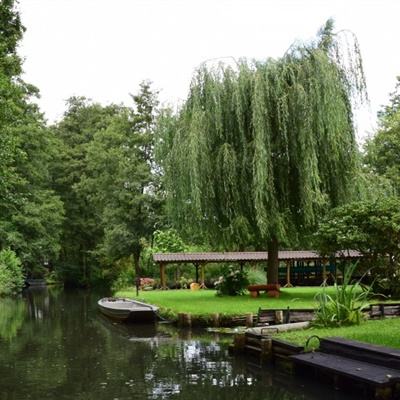 bob半岛平台下载